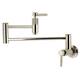 Option Polished Nickel