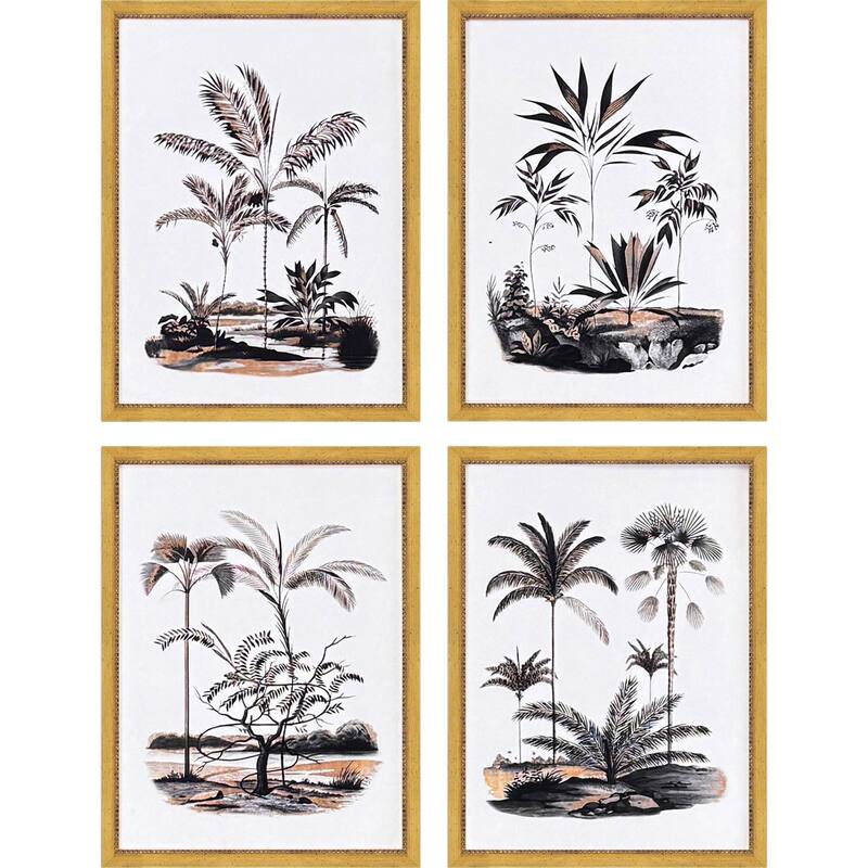 Paragon Exotic Terrain Framed Art - Set of 4