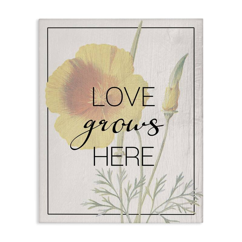 Stupell Vintage Love Grows Here Canvas Wall Art Design By Lil' Rue - 36 x 48