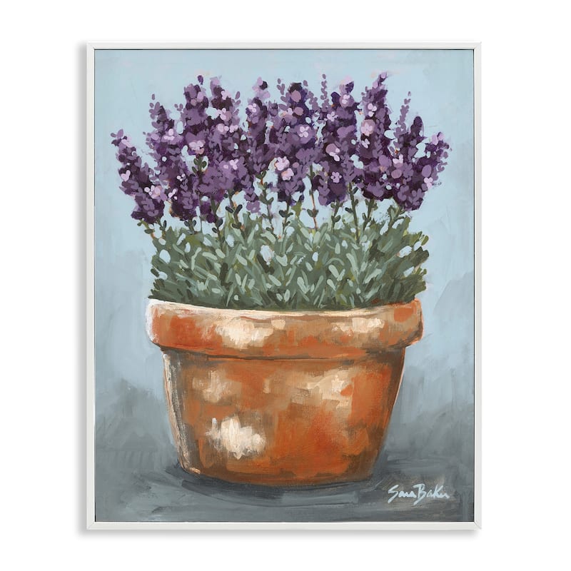 Stupell Potted Lavender Herbs Framed Giclee Art Design By Sara Baker - 11 x 14 - White