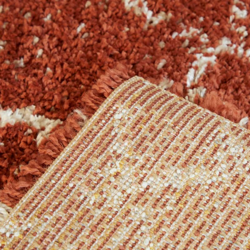 Albini Abstract Shag Area Rug
