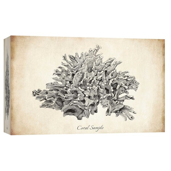 PTM Images 9-103728 PTM Canvas Collection 8" x 10" - "Coral Sample" Giclee Corals Art Print on Canvas