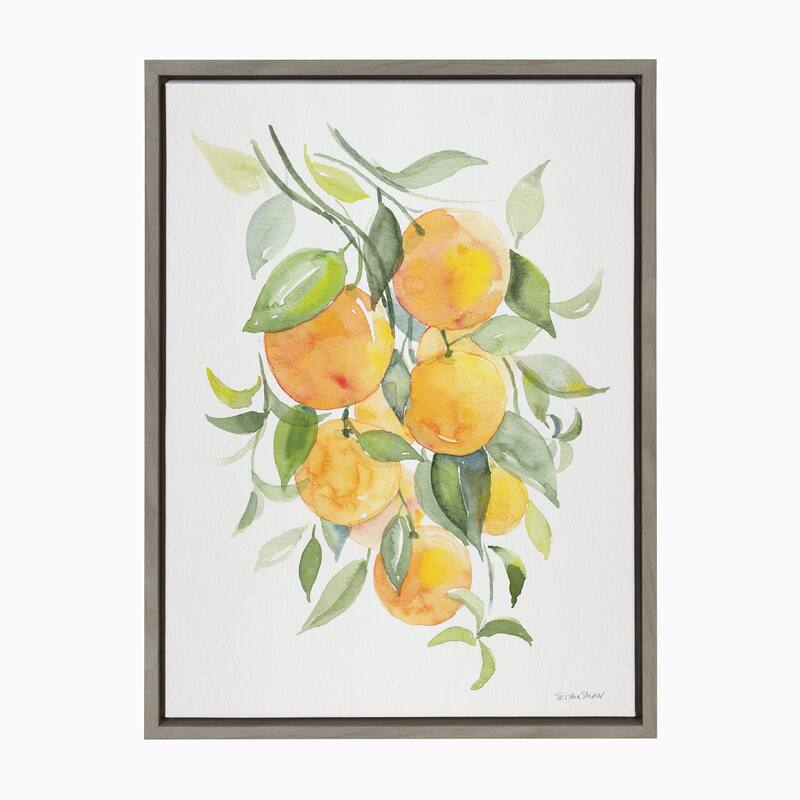 Kate and Laurel Sylvie Orange Citrus Framed Canvas by Patricia Shaw