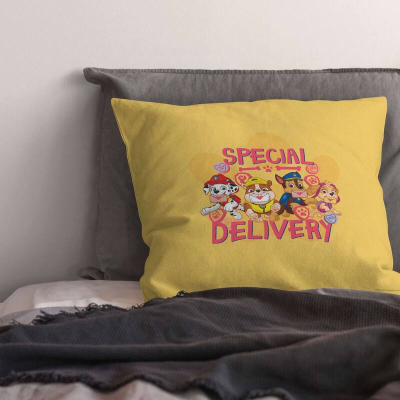 Nickelodeon Paw Patrol Special Delivery 18 Inch Throw Pillow