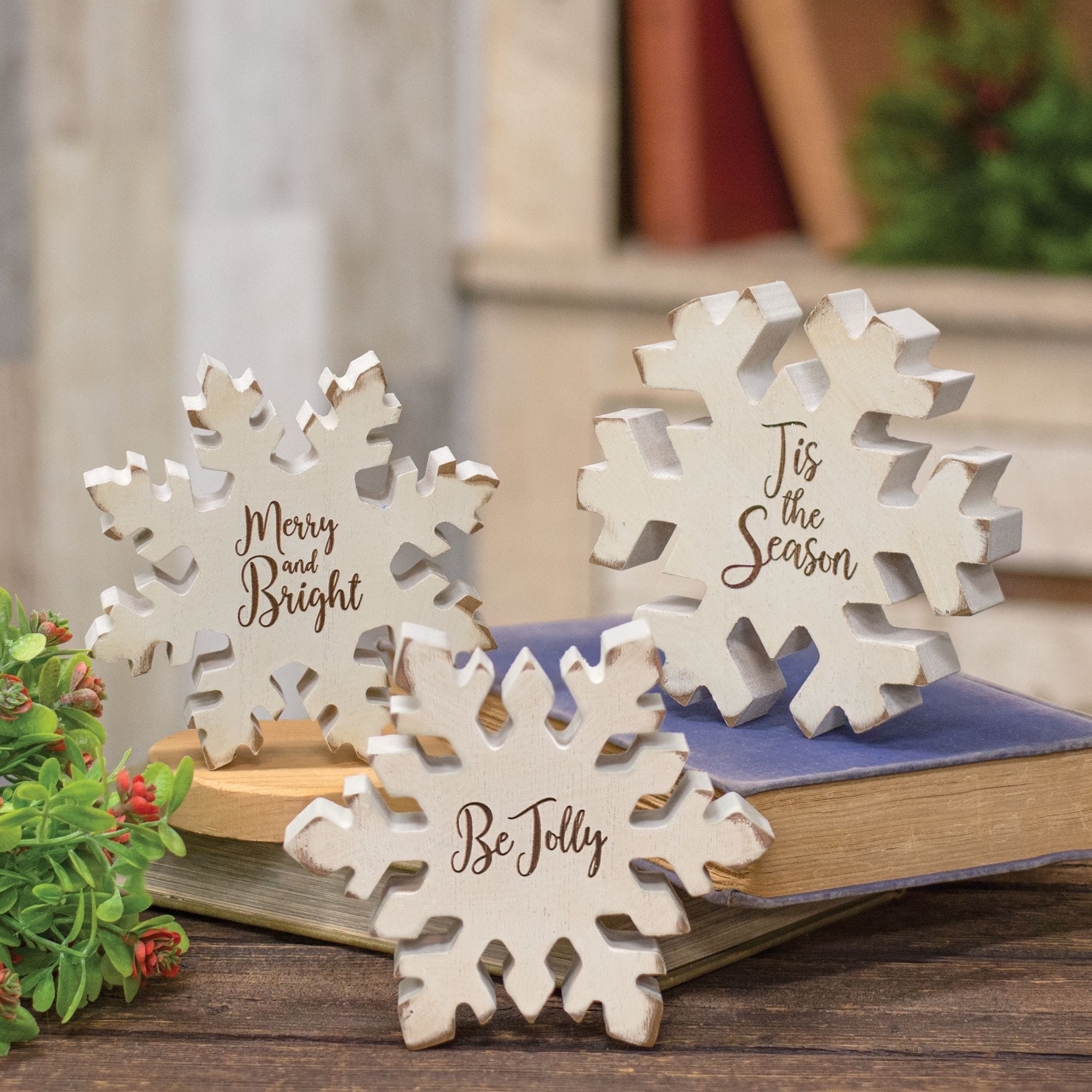 Reversible Chunky Snowflake Sitters with Holiday Sayings Set of 3