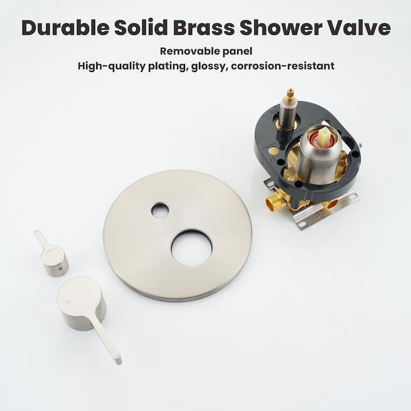 2-Spray 10-in Wall Mounted Fixed and Handheld Shower Head Set