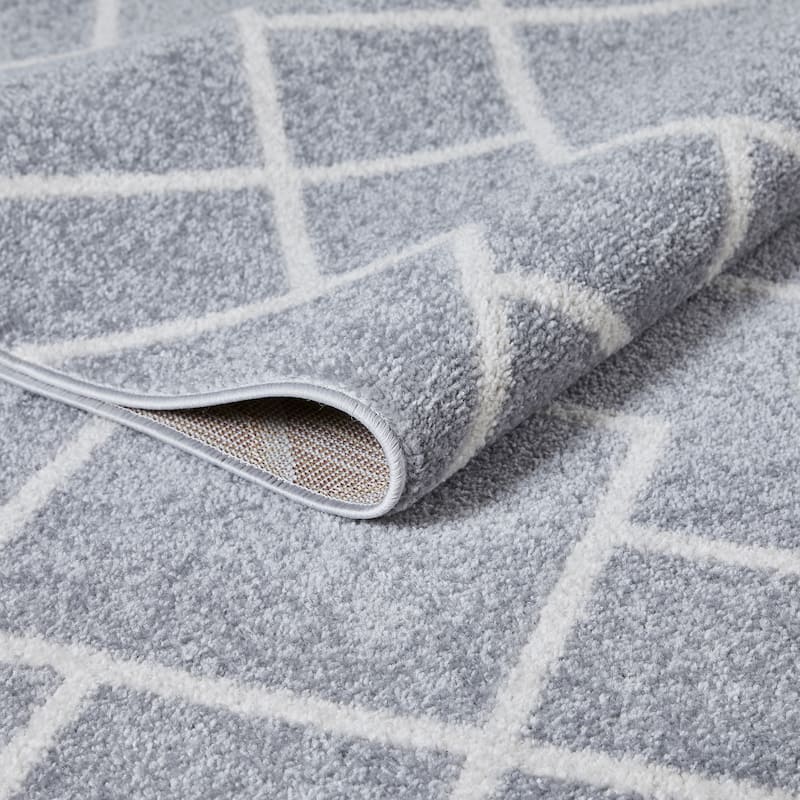 Loomaknoti Kissandrah Bleyana Gray Area Rug