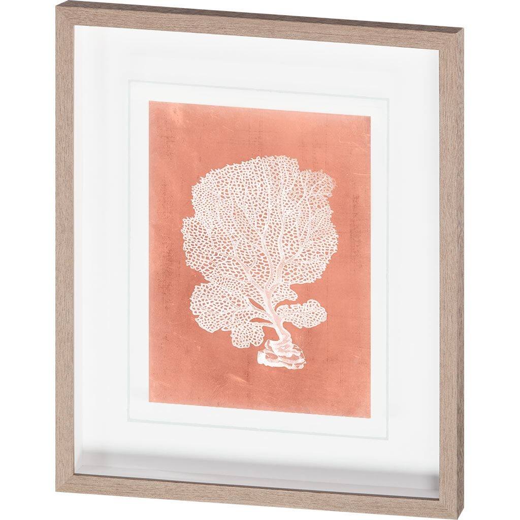 Sealife on Coral VIII Framed Art Print