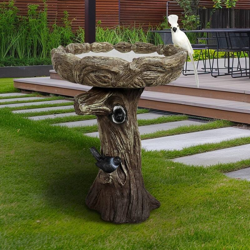 23" H Outdoor Concrete Bird Bath - Perfect for Adding Interest to Garden, Patio, Backyard, Porch and Deck