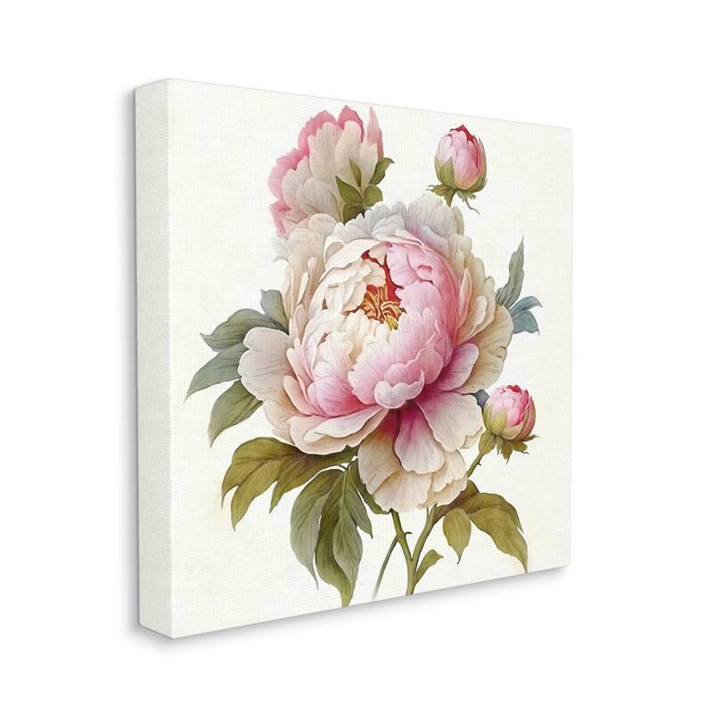Stupell Detailed Pink Peony Flower Buds Canvas Wall Art by Ziwei Li