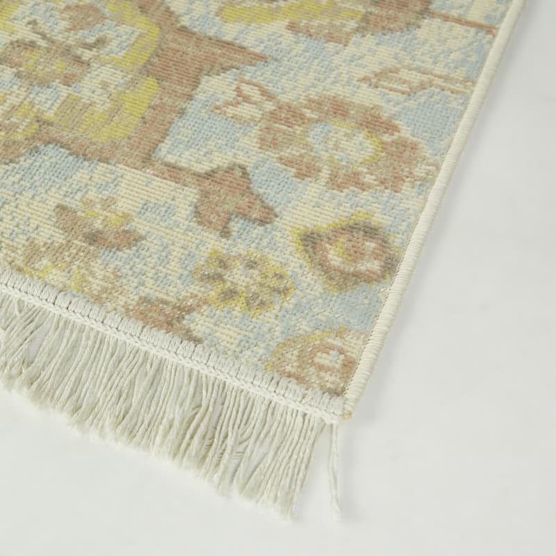 Carius Traditional Medallion Recycled Area Rug