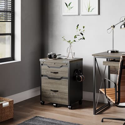 Large Vintage File Cabinet- 2-Drawers Lateral File Cabinet with Hook