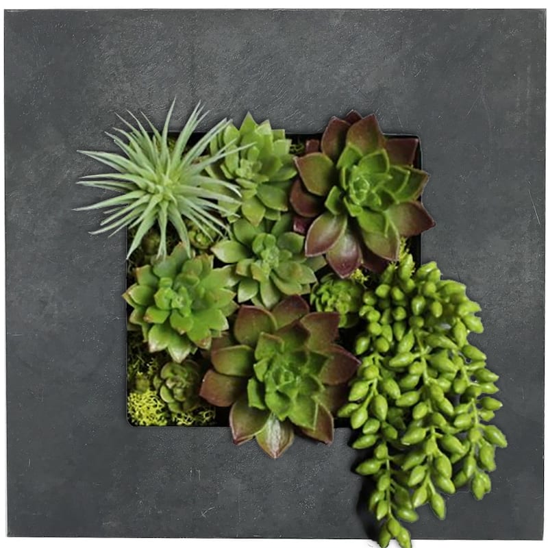 Carson Carrington Tasback Galvanized Steel/ Zinc Succulent Planter - Small (4 squares) - Black Zinc