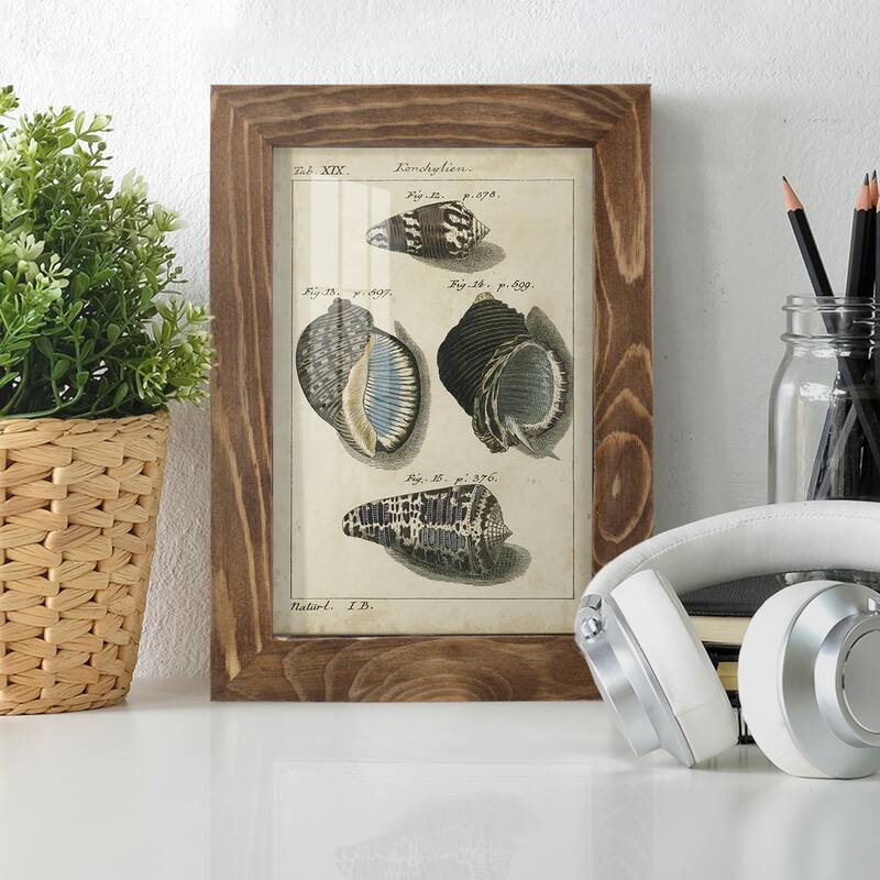 Vintage Shell Study III -Framed Print w/glass-Cherry Red