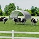 preview thumbnail 10 of 13, All-Weather Animal Shelter Cover – 12' x 12' Heavy-Duty Waterproof Farm Canopy