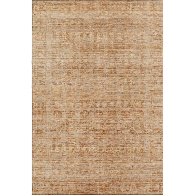 Premium Washable Super Soft Vintage Traditional Mayfield Rug