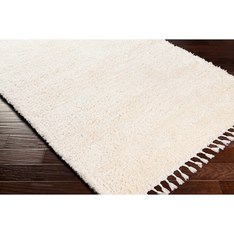 Artistic Weavers Breda Solid Boho Area Rug