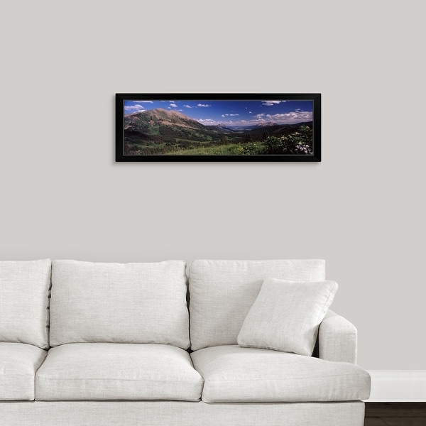 "Wildflowers with mountains in the background Crested Butte Gunnison County Colorado" Black Framed Print