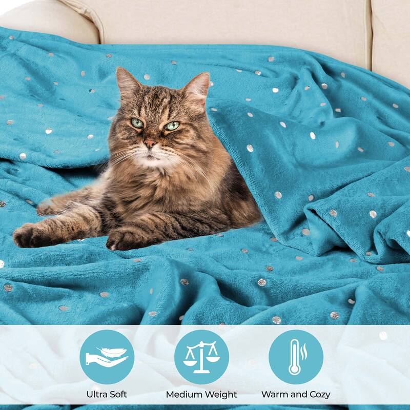 Superior Fleece Plush Medium Weight Soft Fluffy Decorative Blanket