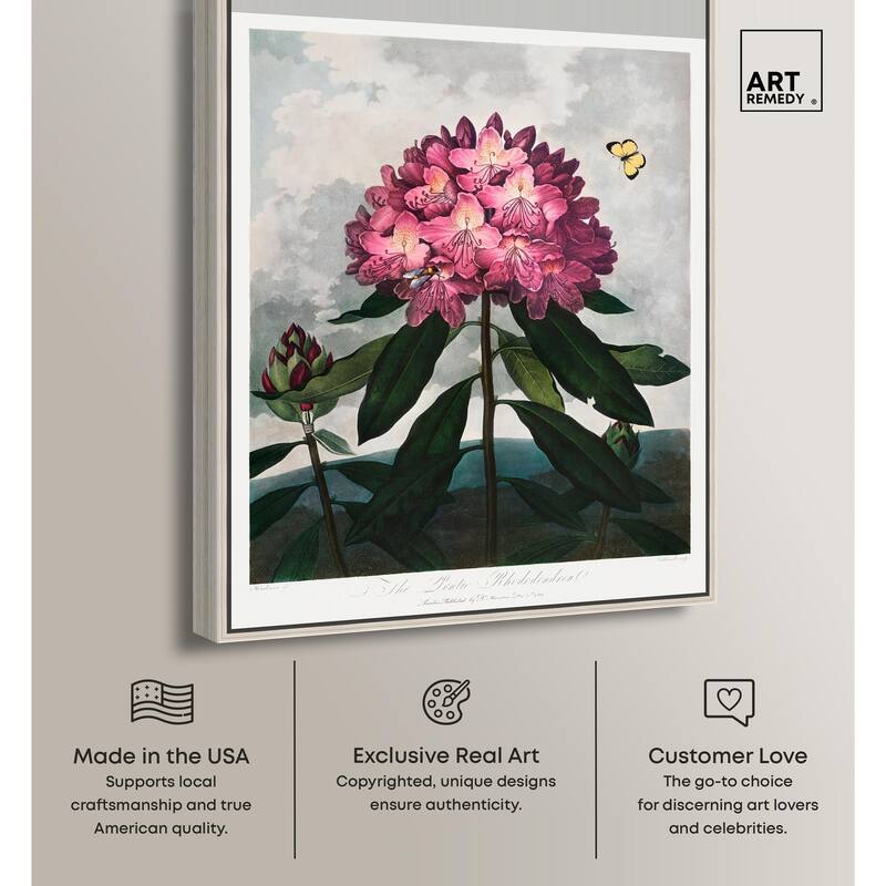 Pontic Rhododendron 1807 Canvas by Art Remedy