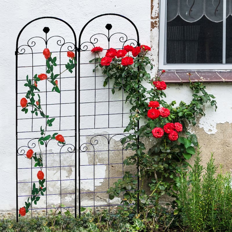 2 Pack Metal Garden Trellis for Climbing Plants Outdoor 86.7'' x 19.7'' Rustproof Plant Support Rose Trellis