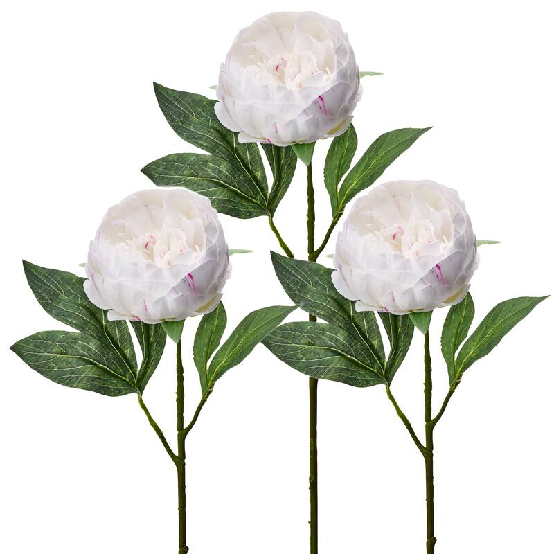 21" Lovely Peony Stem Set of 3
