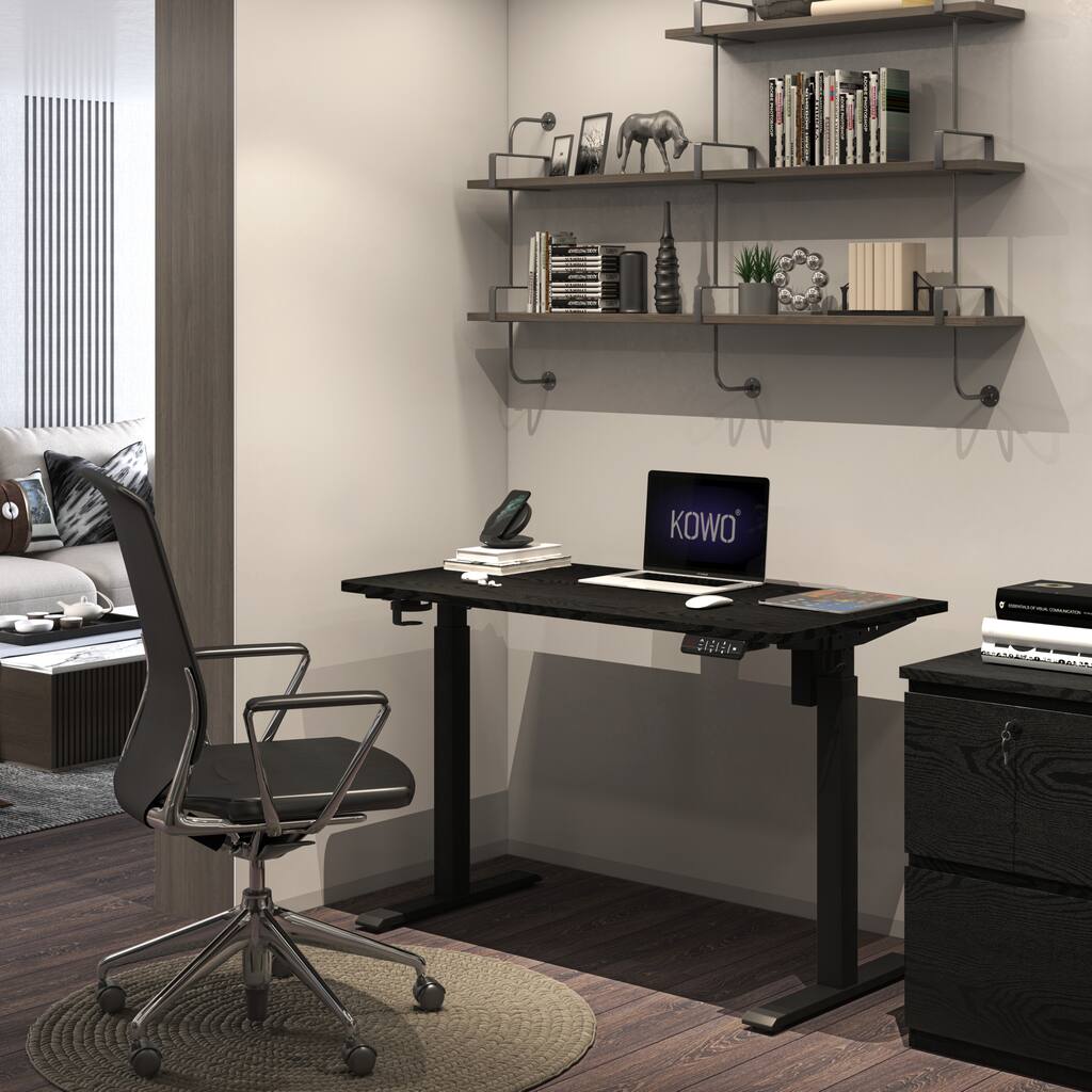 KOWO 48" Electric Height Adjustable Desk Black Sit Stand Workstation for Home Office, Memory Preset
