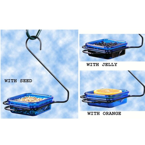 8.5” Blue and Black Hanging Jelly and Mealworm Feeder - N/A