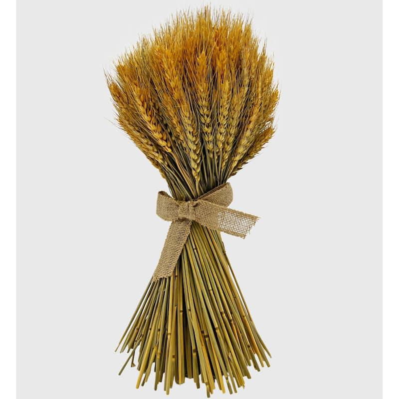Preserved Decorative Wheat Standing Topiary Plant – Gold Natural Wheat Spring Botanical Accent - 16 inches