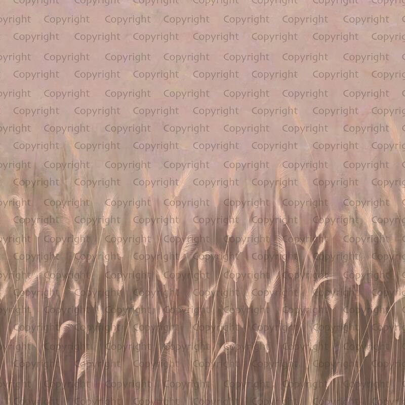 Serene Reed Grass Wallpaper Mural Soft Neutral Tones - Pink - W:225" x H:118"