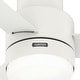 preview thumbnail 11 of 27, Hunter 52" Gilmour Outdoor Low Profile Ceiling Fan with LED Light, Handheld Remote, Damp Rated - Contemporary, Transitional