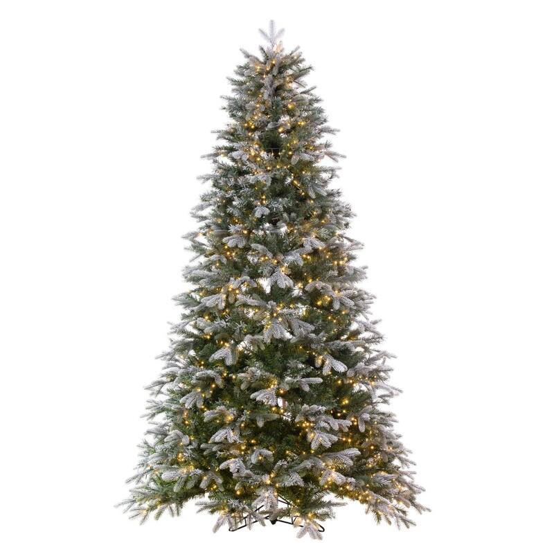 Vickerman 6.5' x 50" Frosted Douglas Fir Artificial Pre-Lit Christmas Tree, Warm White 3mm Low Voltage LED Wide Angle Lights. - Green - 6.5 Foot