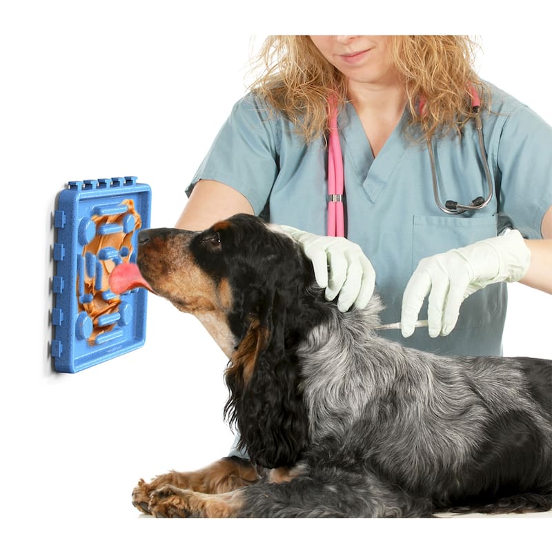 Pet Slow Treat Dispensing Mat Set ( 4-Plate) - Red, Turquoise Blue & Sky Blue