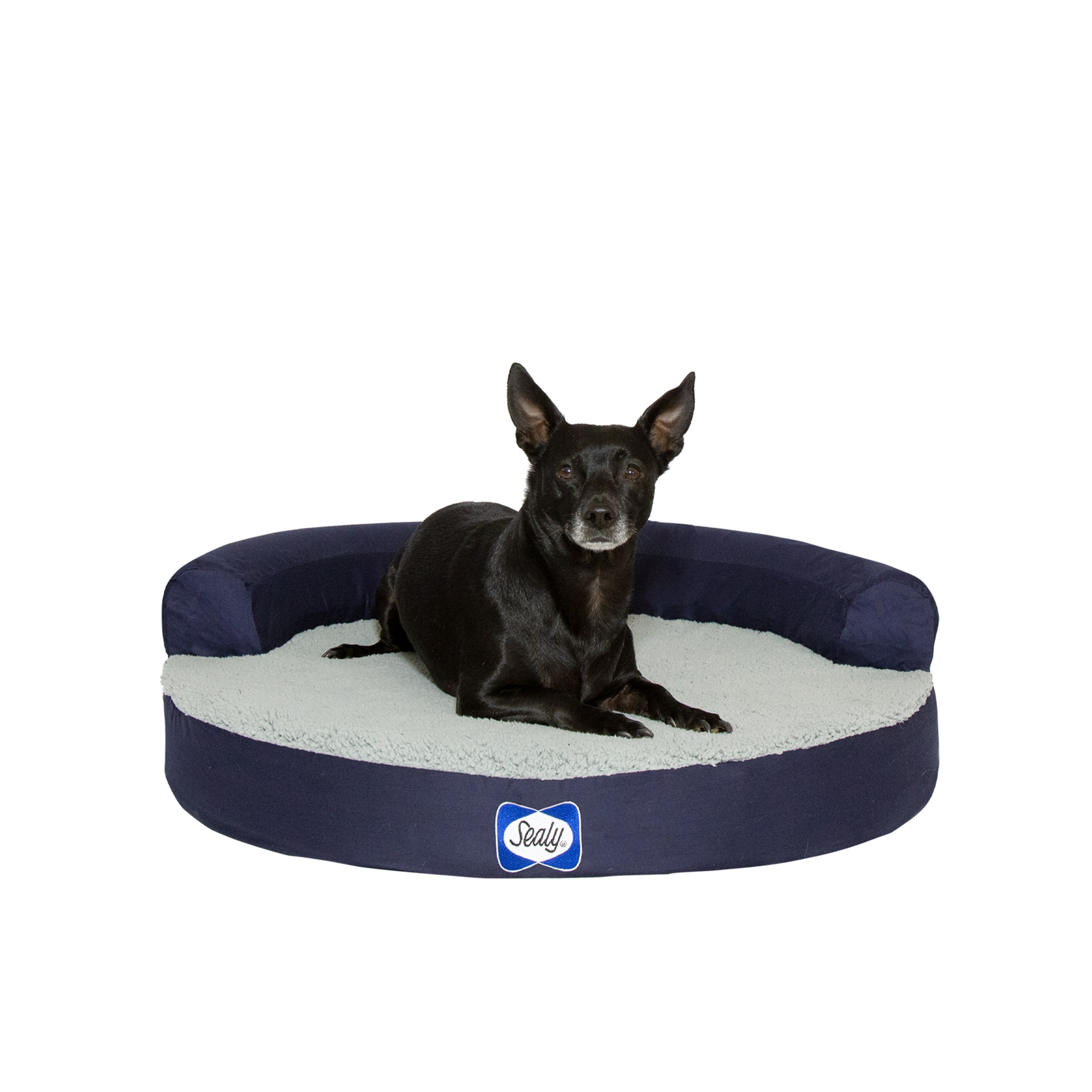 Sealy Zen Premium Round Dog Bed - Bed Bath & Beyond - 34605130
