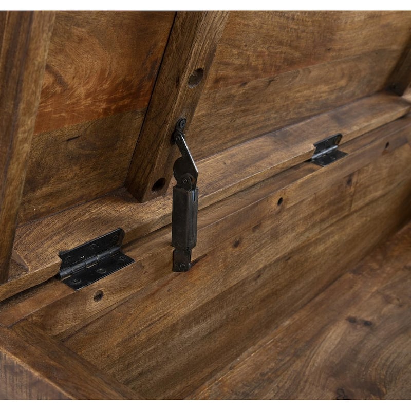 Zoe Storage Trunk by Kosas Home