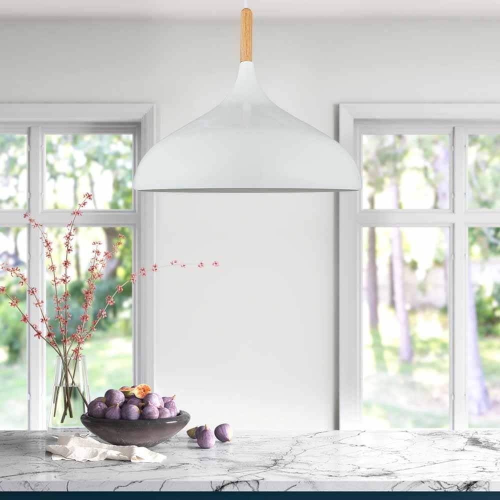 Modern 1 Light Indoor Pendant White Finish