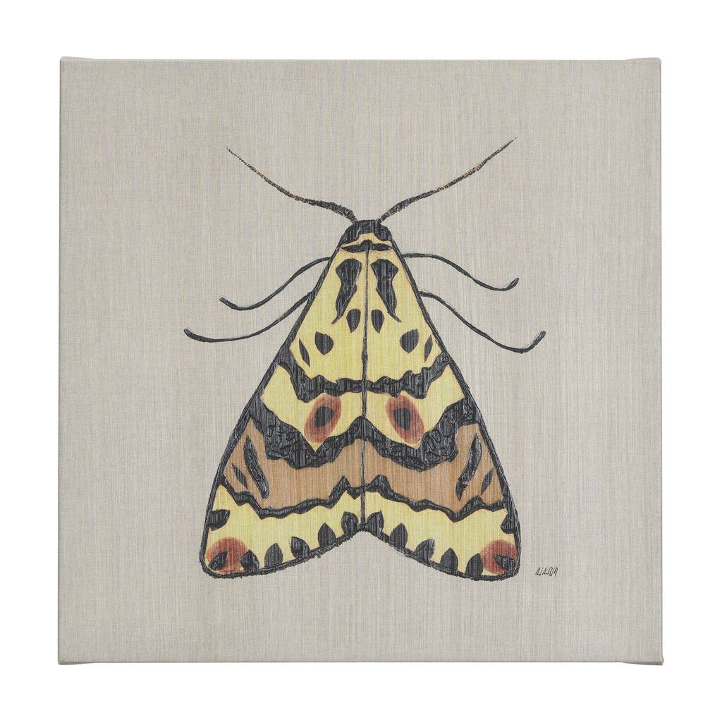 Moth III (30 x 30 ) Canvas Art Print