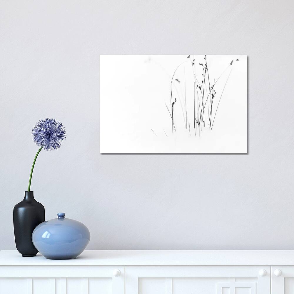 iCanvas "Black On White" by Dusan Ljubicic Canvas Print