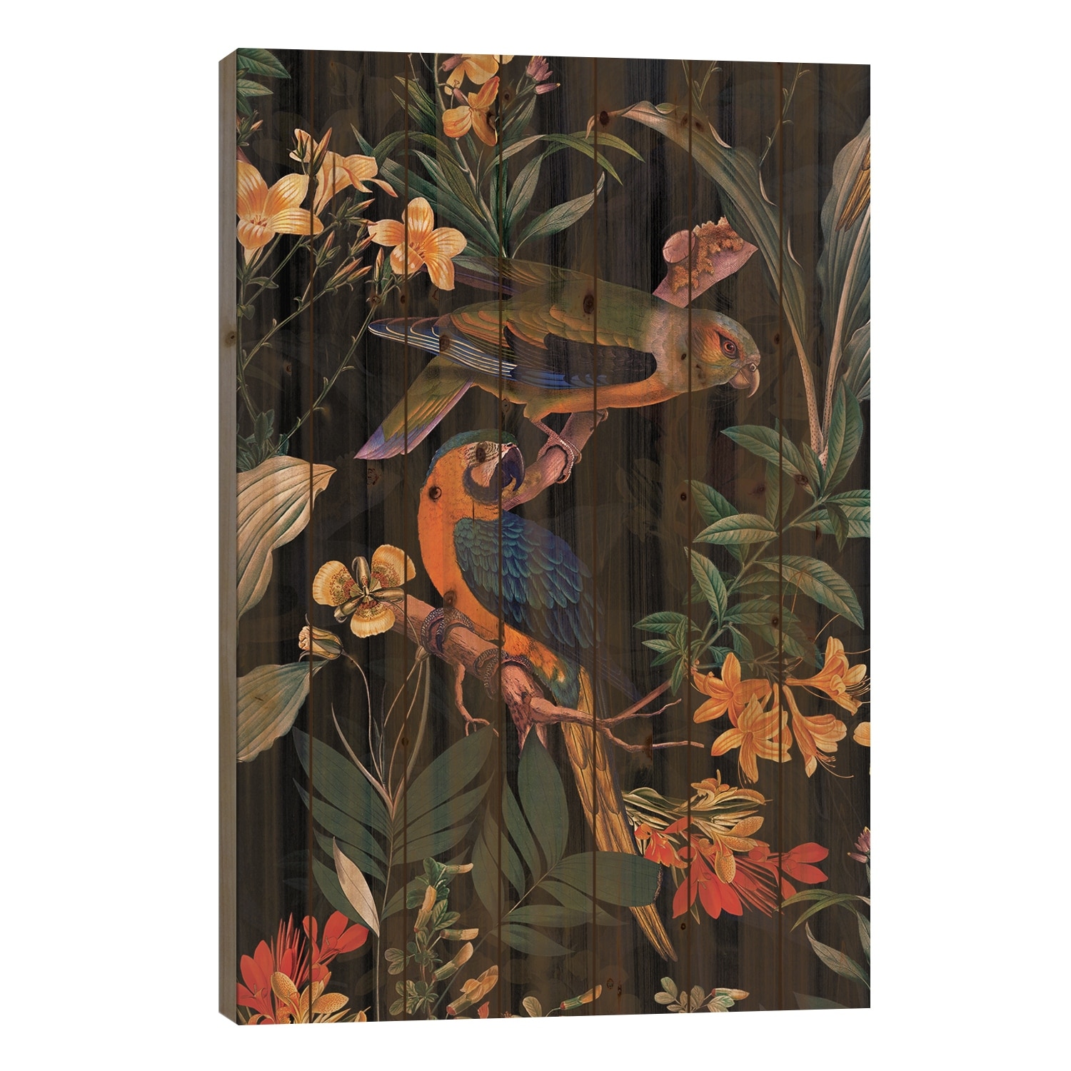 Exotic Parrot Birds And Tropical Flowers Midnight Garden Print On Wood by UtArt - Multi-Color