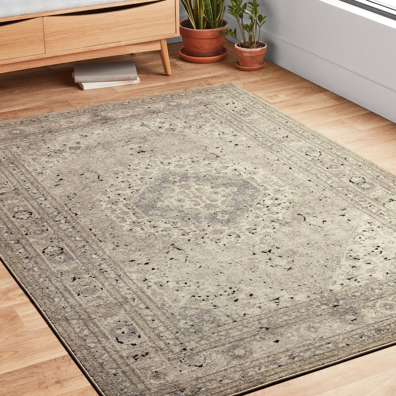 Alexander Home Carissa Sand Distressed Medallion Area Rug