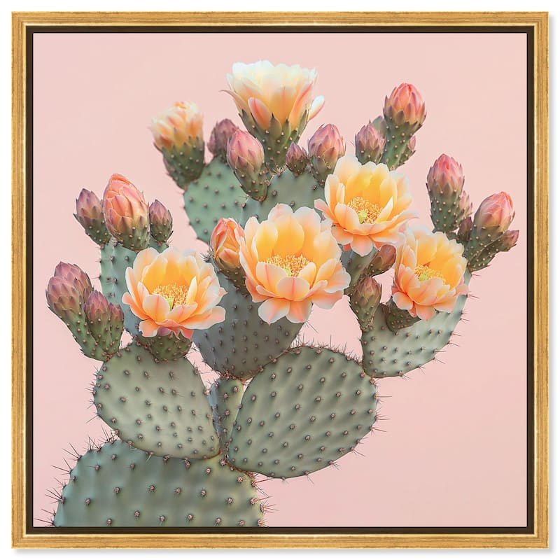 Pink and Prickly Canvas by Art Remedy - 30" x 30" - Gold