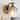 Modern 1-Light Black Gold Wall Sconce Lighting with Hammered Glass Shade - 4.7" L x 7" W x 7" H