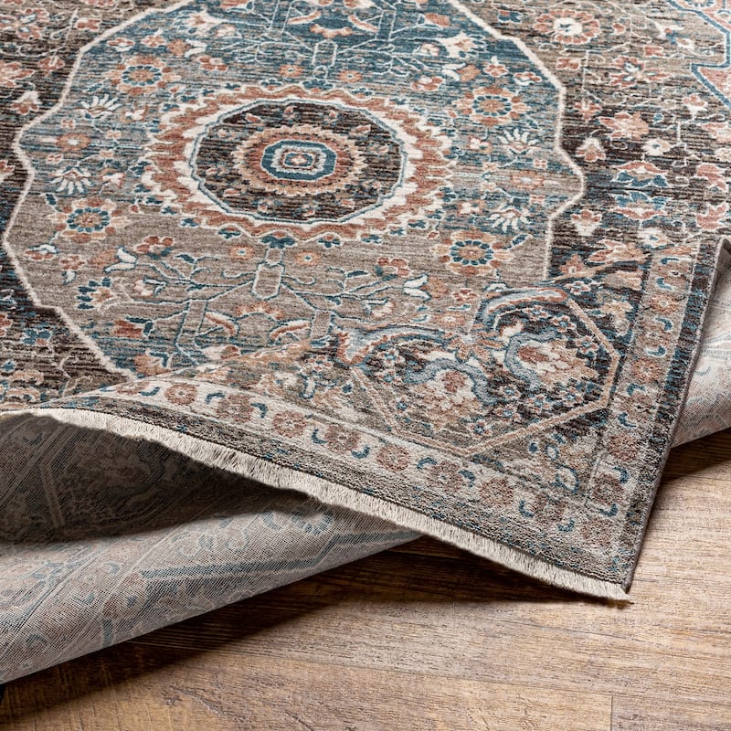 Artistic Weavers Alekya Vintage Medallion Area Rug