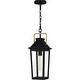 preview thumbnail 1 of 5, Buckley 1-Light Outdoor Hanging Lantern in Matte Black Matte Black
