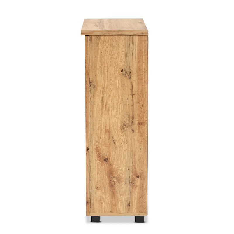 Adalwin Modern Oak Brown Finished Wood 2-Door Shoe Cabinet