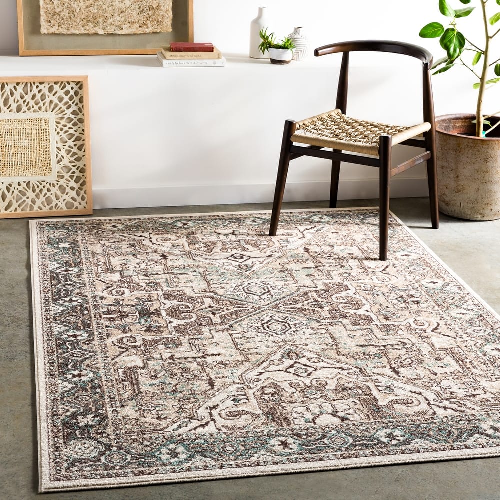 Livabliss Meena Traditional Oriental Area Rug