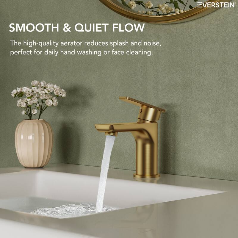 Single Hole Bathroom Faucet with Drain Assembly, Single Handle Bathroom Sink Faucet
