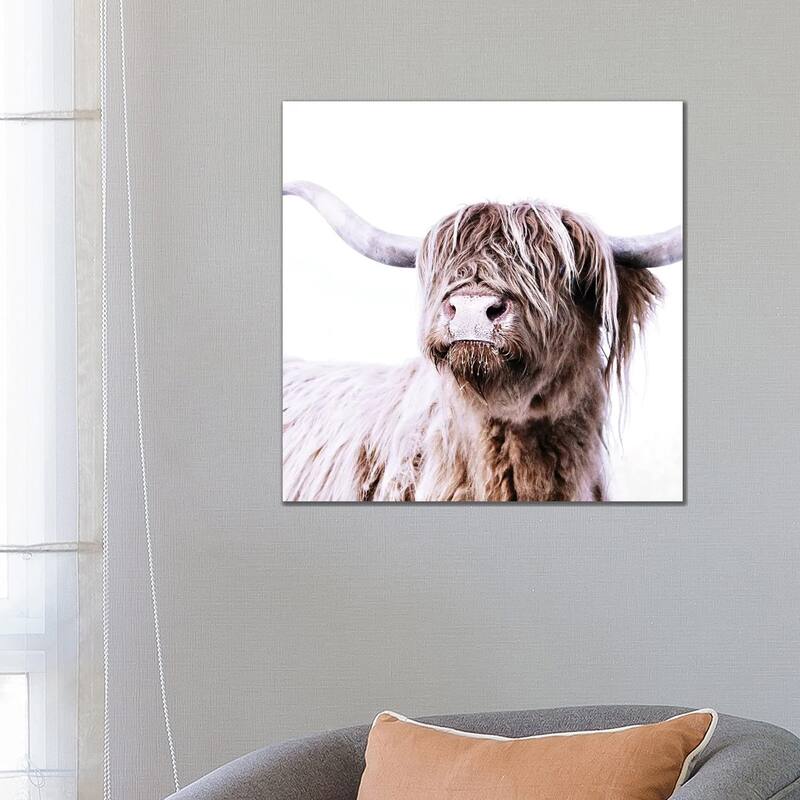 iCanvas "Highland Cattle Frida I Square" by Monika Strigel Canvas Print - 26x26x1.5