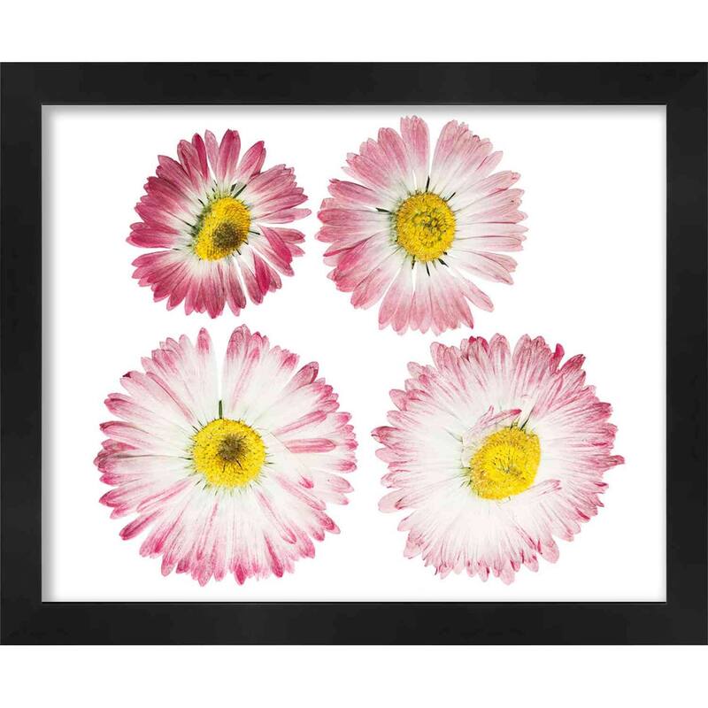 24x26 Black Shadowbox Frame - Interior Size 24x26 - Black Frame Is Made to Display Items Up To 1.75 In Deep