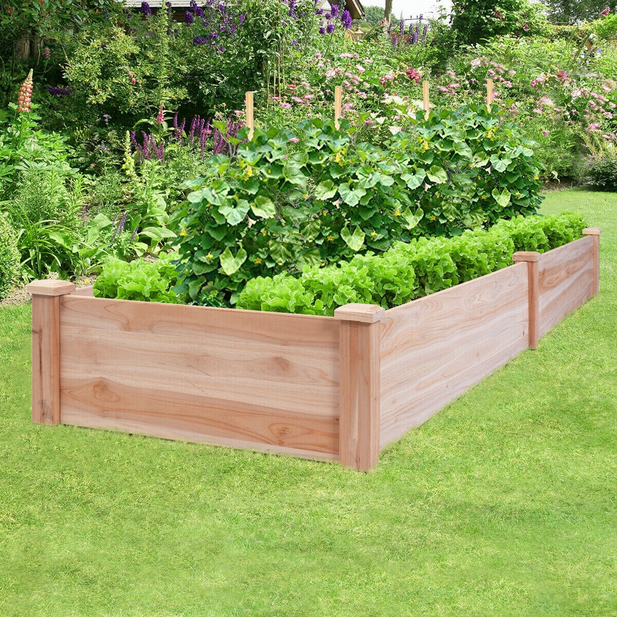 Shop Costway Wooden Vegetable Raised Garden Bed Backyard Patio